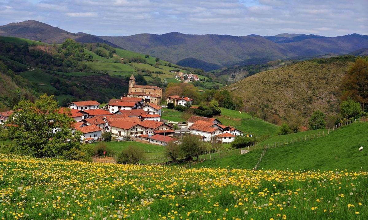 Pedroenea Apartamento Elizondo Kültér fotó